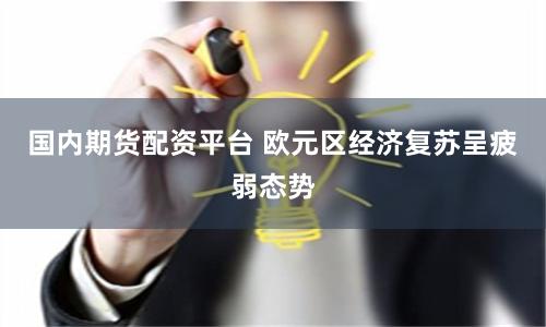国内期货配资平台 欧元区经济复苏呈疲弱态势