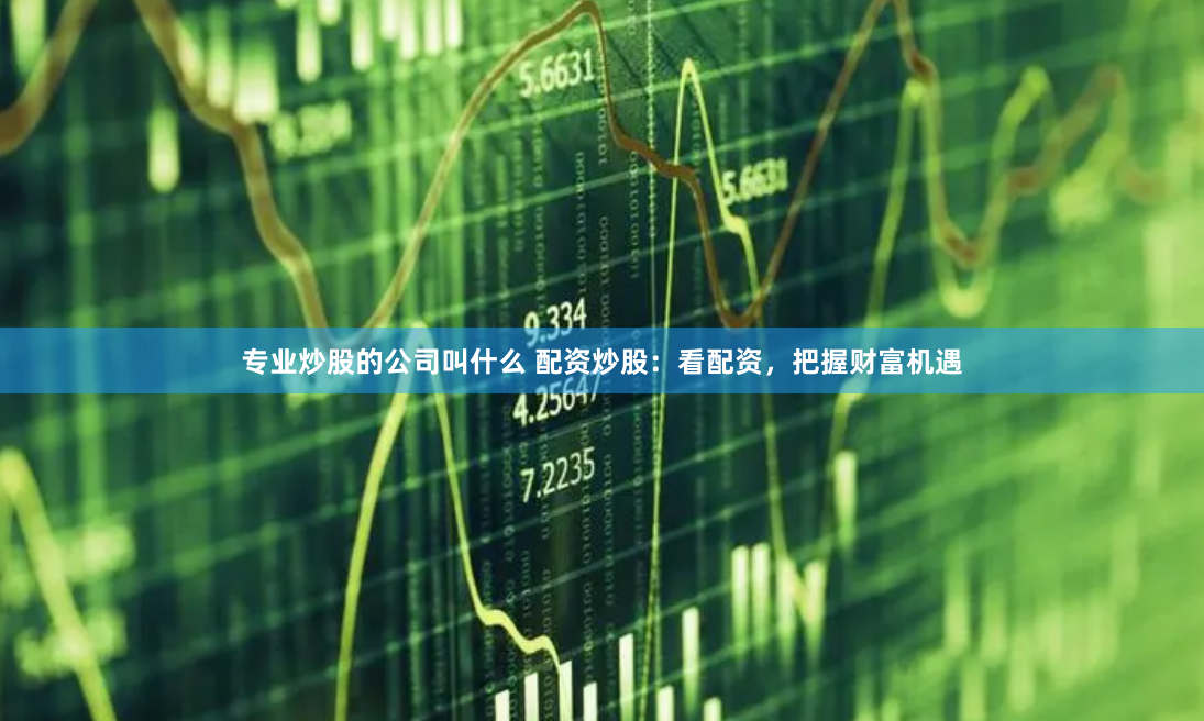 专业炒股的公司叫什么 配资炒股：看配资，把握财富机遇
