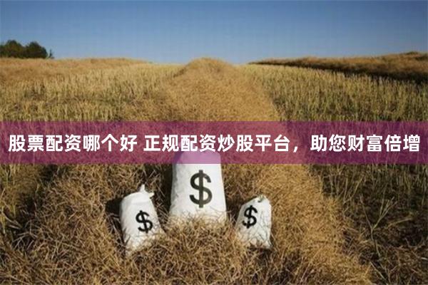 股票配资哪个好 正规配资炒股平台，助您财富倍增
