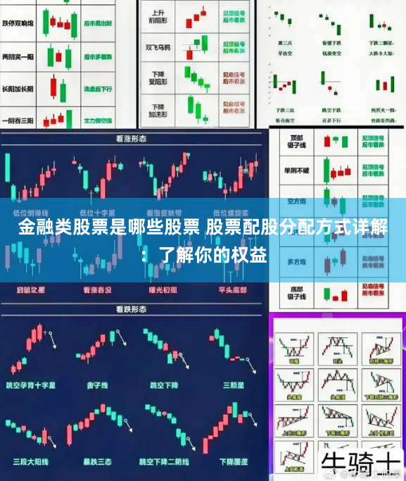 金融类股票是哪些股票 股票配股分配方式详解：了解你的权益